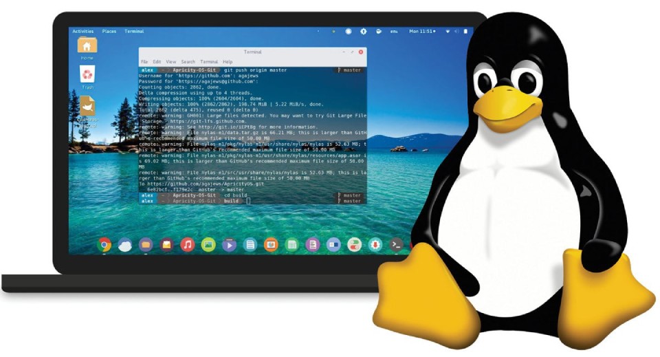 Linux Mint