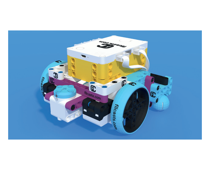 Robot